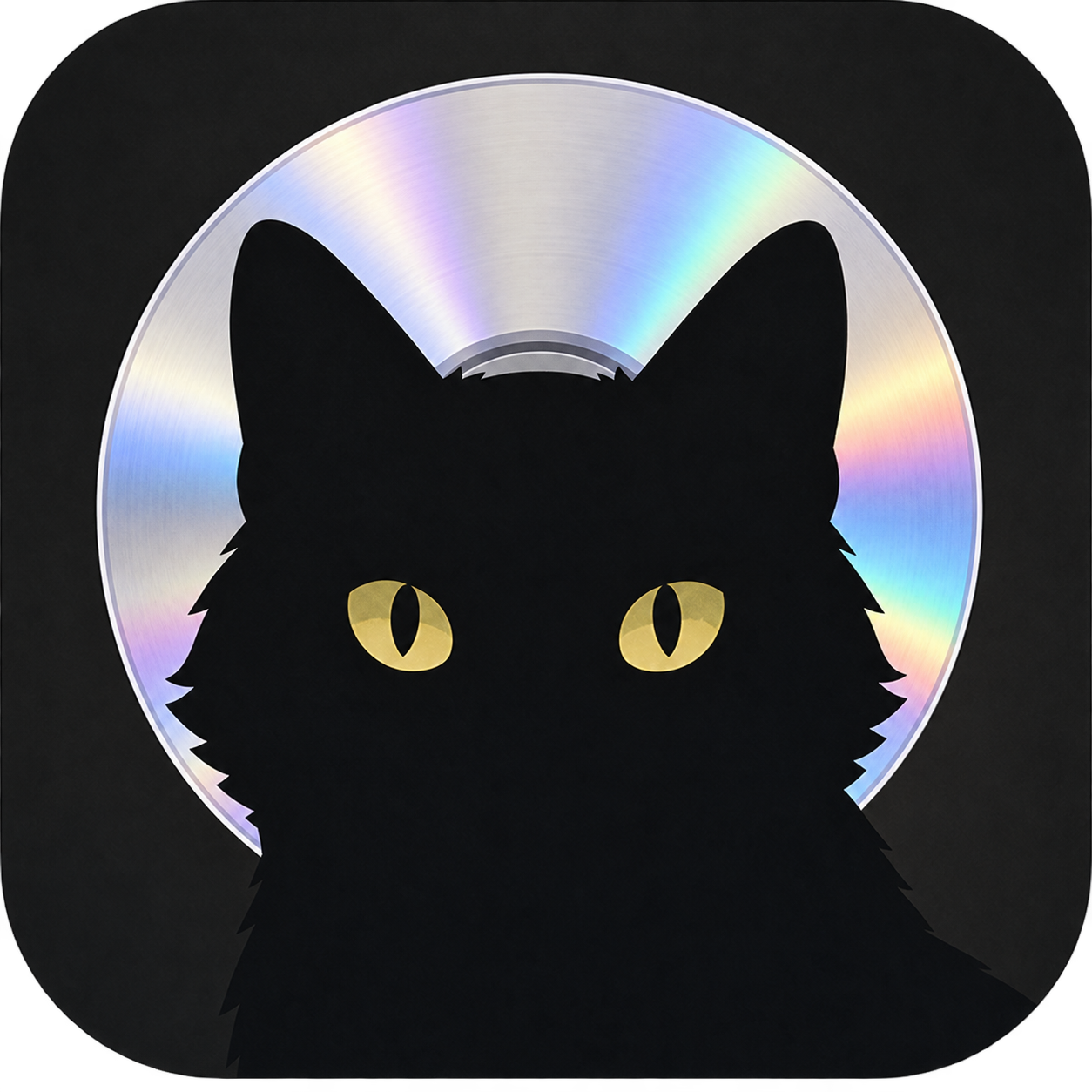Black cat with an iridescent disc